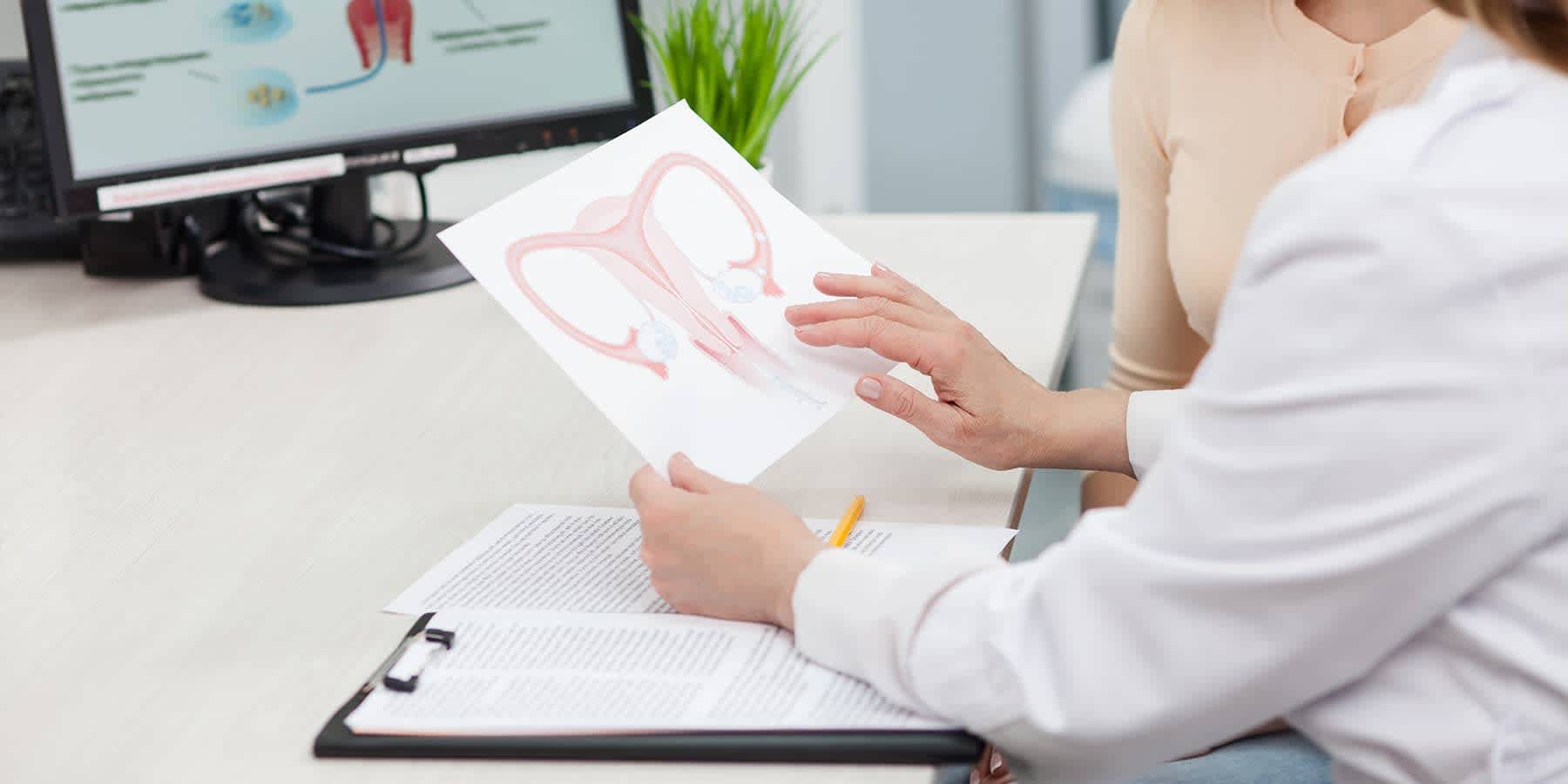 Healthcare provider holding a chart of the female reproductive system and explaining how you feel at different stages of the menstrual cycle