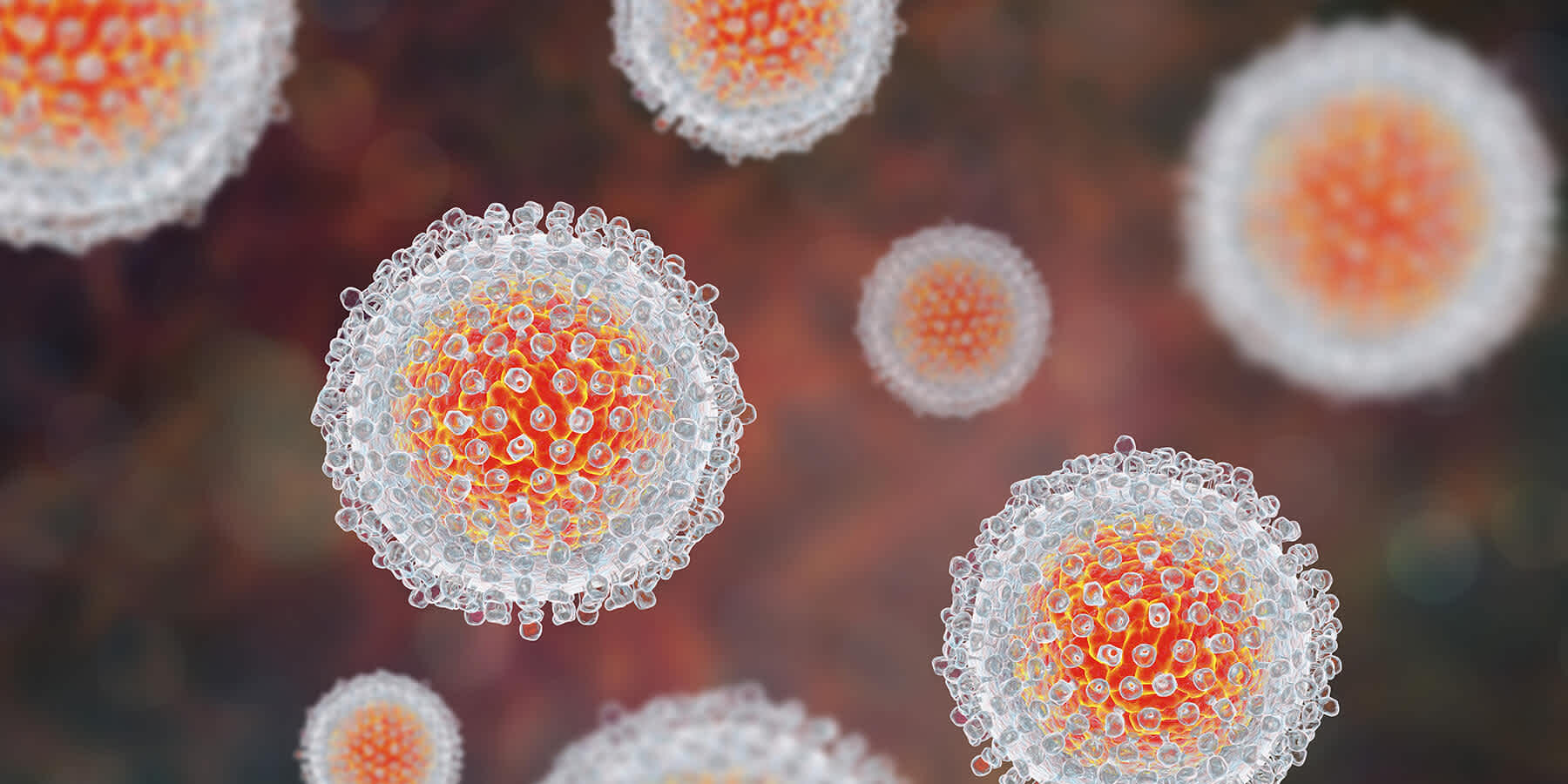 Illustration of genital herpes virus particles