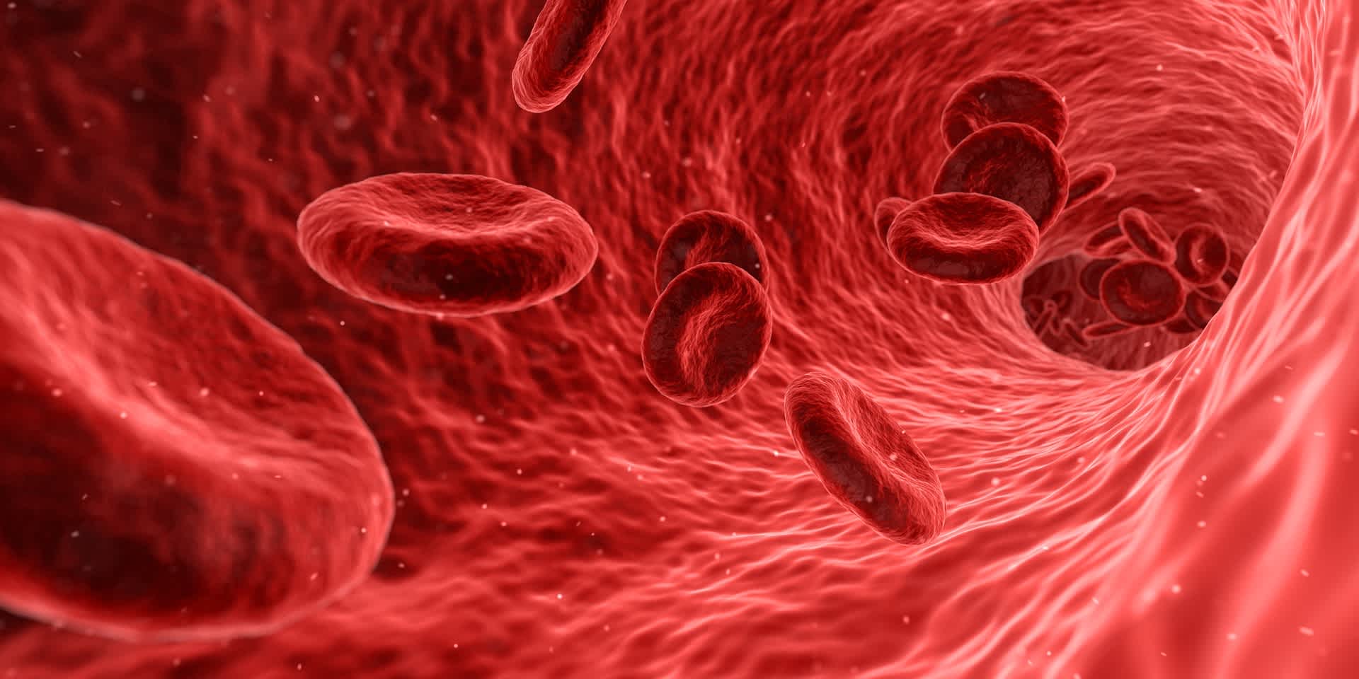 Illustration of red blood cells to represent high blood pressure
