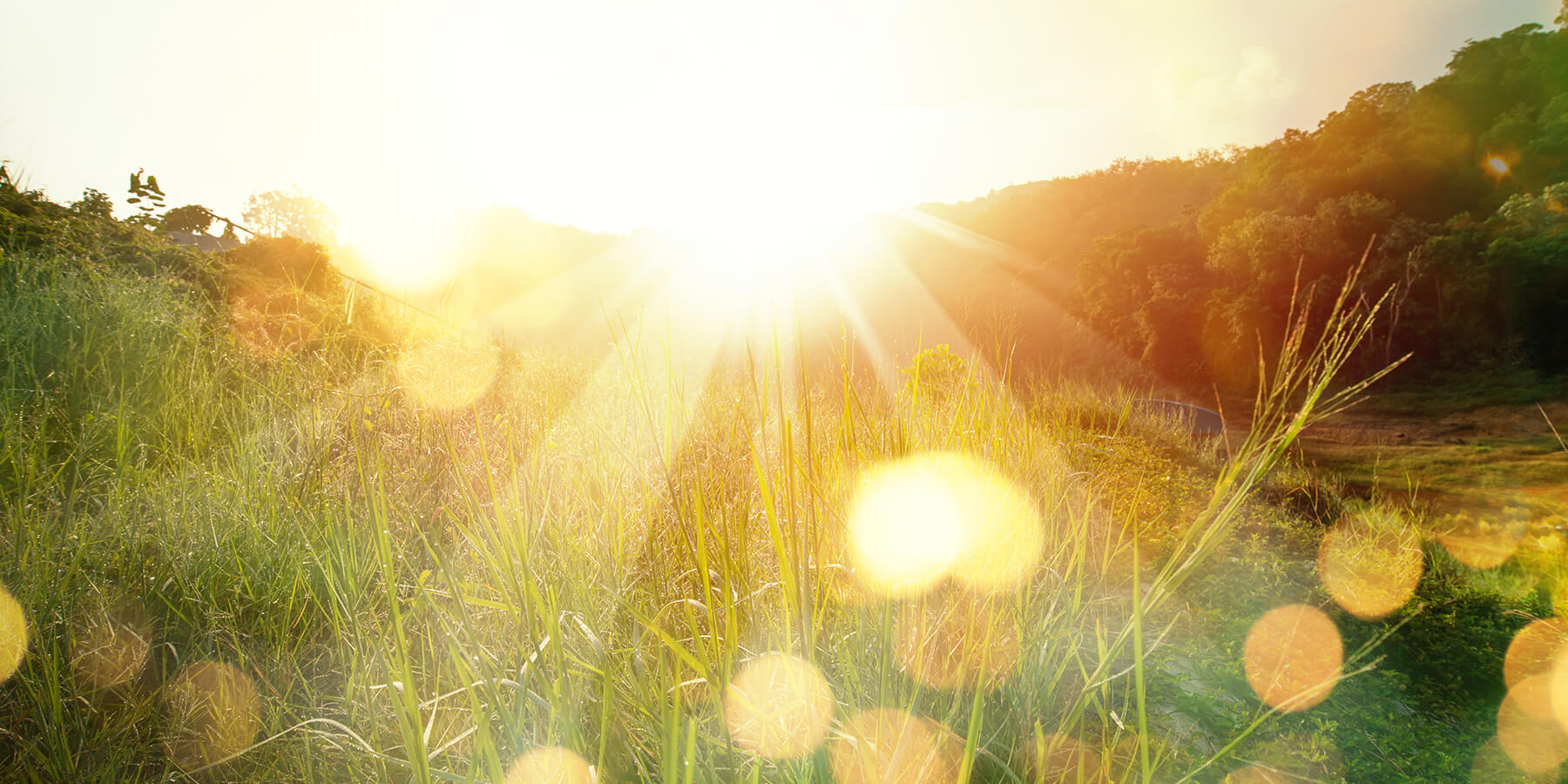 Rays of sunlight as a way to address vitamin D deficiency causes