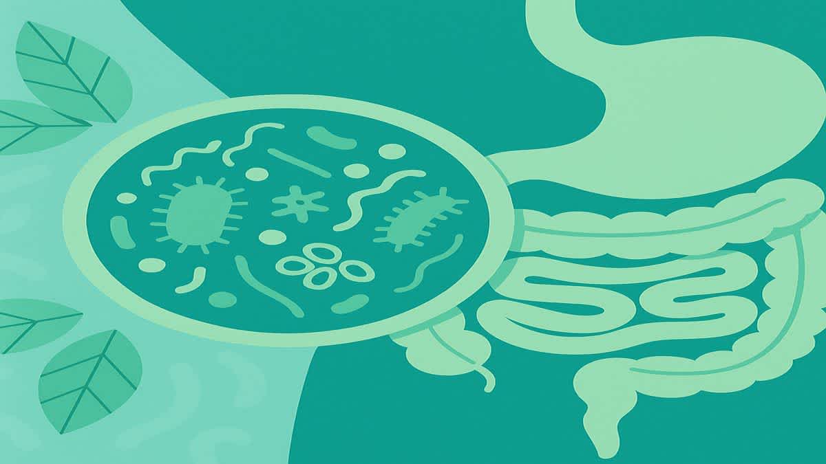 Abstract illustration symbolizing gut health and the microbiome, featuring magnified microorganisms and green leaves beside a stylized digestive system on a teal background.
