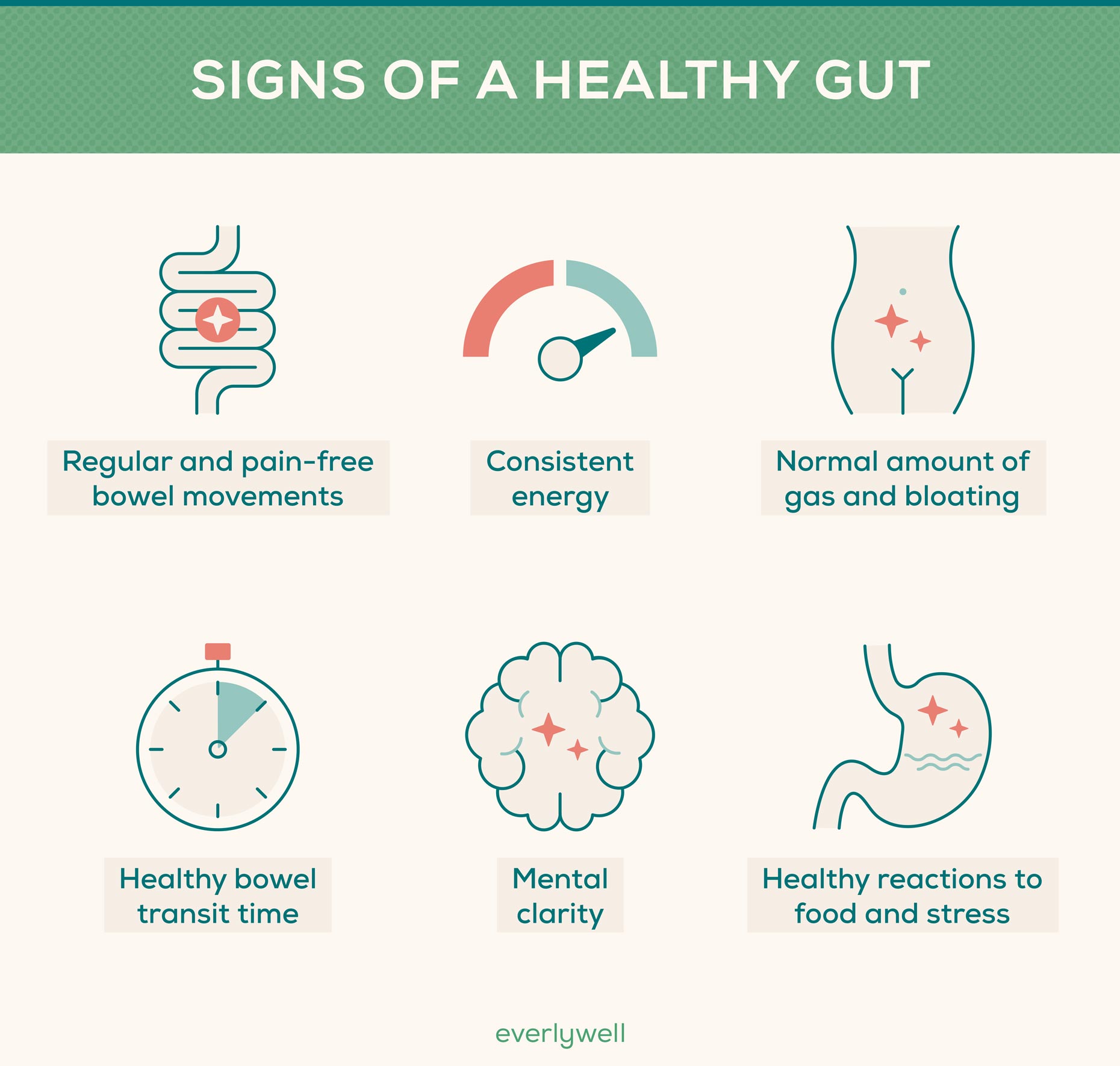 7 Signs Of A Healthy Gut Everlywell