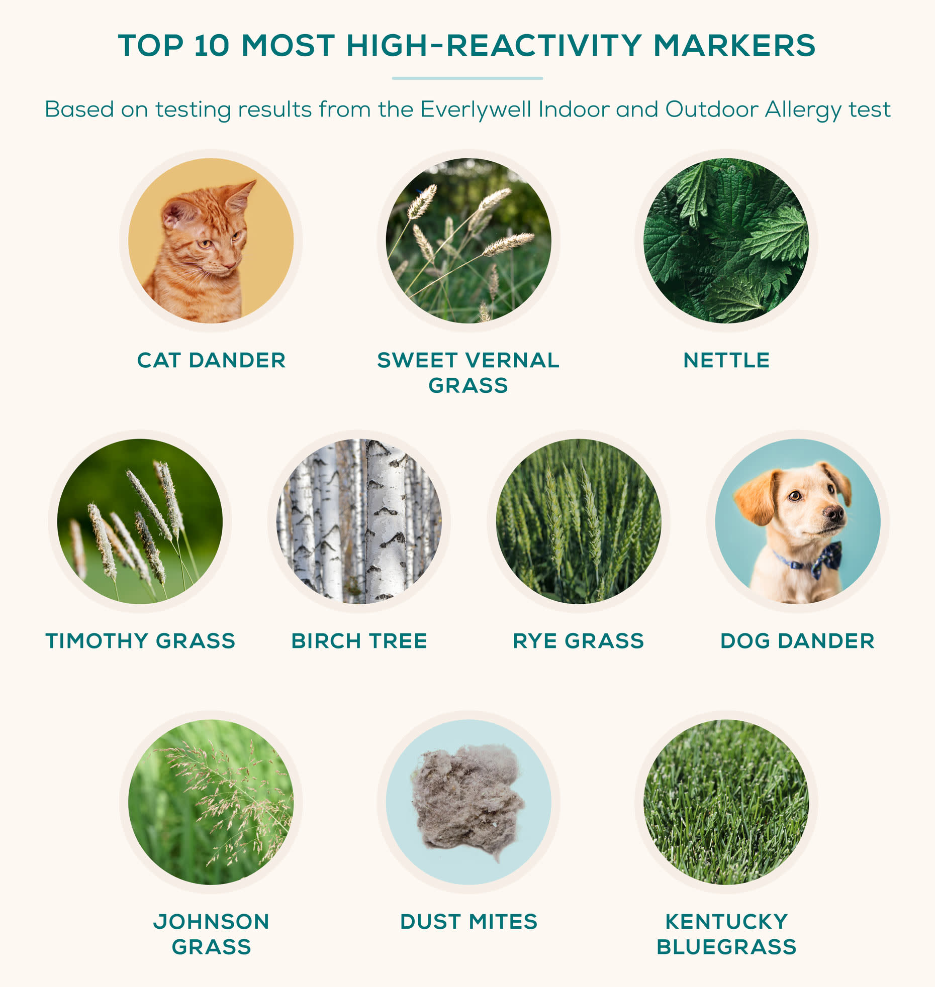 2021 Guide to the Worst Cities for People with Allergies Blog Everlywell Home Health