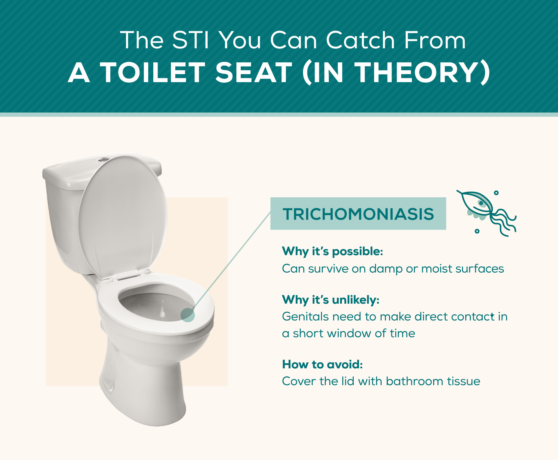 STI-you-can-catch-from-a-toilet-seat 