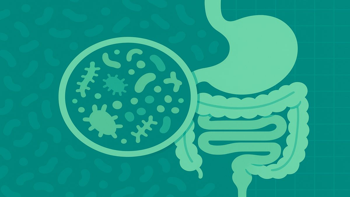 Abstract illustration of the gut and microbiome showing bacteria and digestive balance in green and teal tones.
