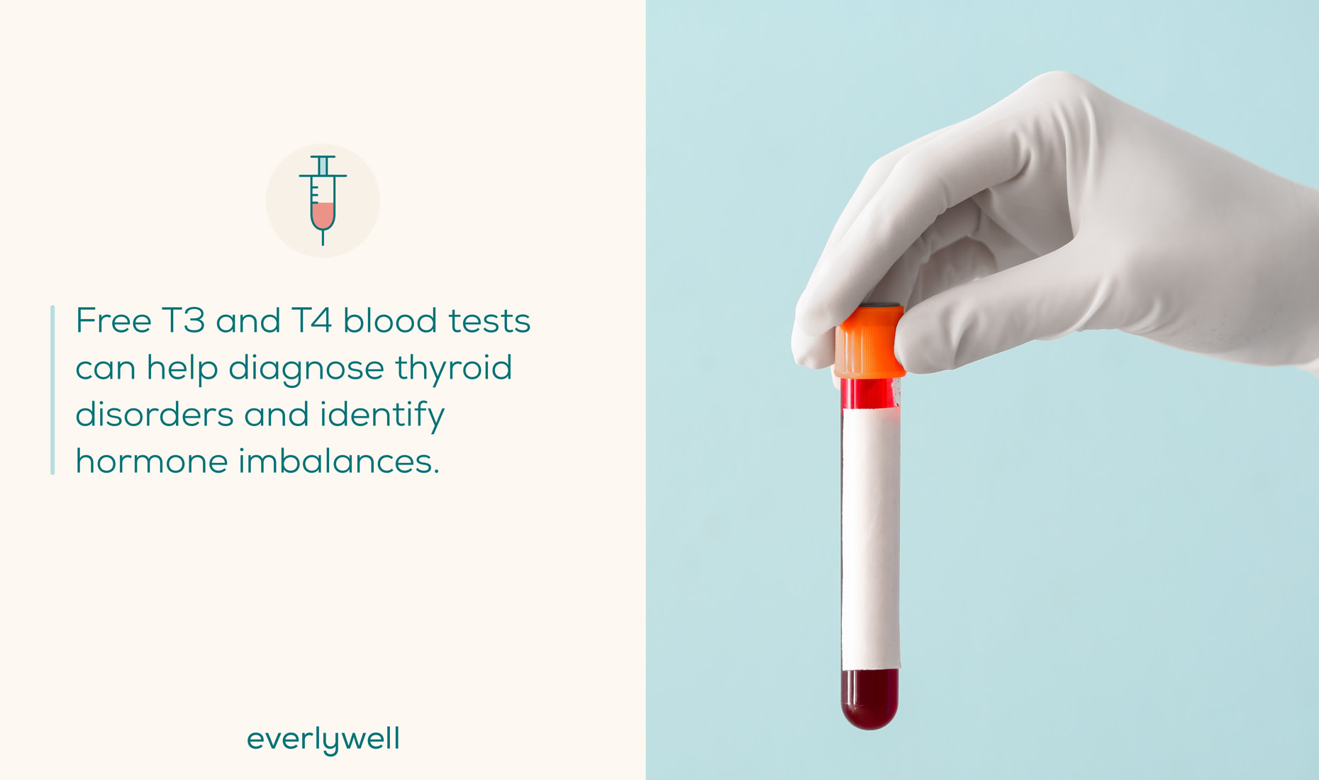 What Are T3 and T4? | Everlywell