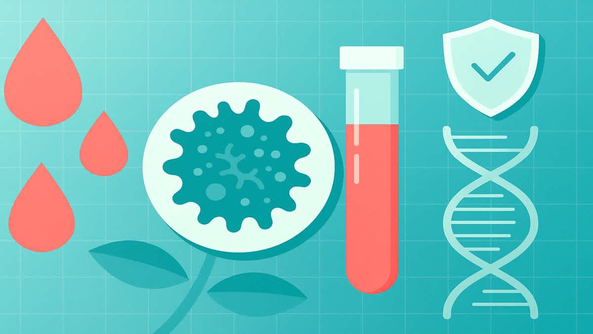 Abstract medical illustration showing blood droplets, a test tube, a DNA helix, and a shield symbolizing how blood tests detect early cancer signals through tumor markers and immune response.