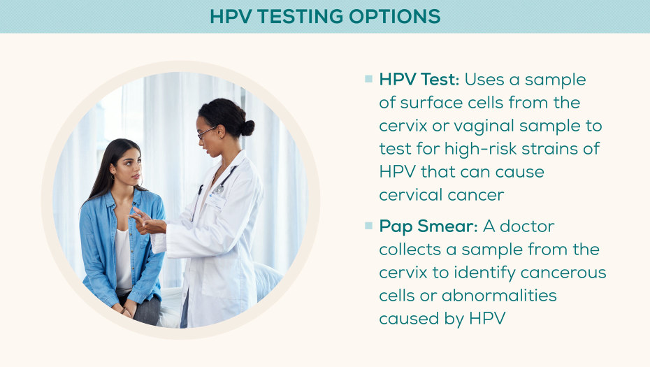 What Is Hpv How Is Hpv Transmitted Everlywell 5444