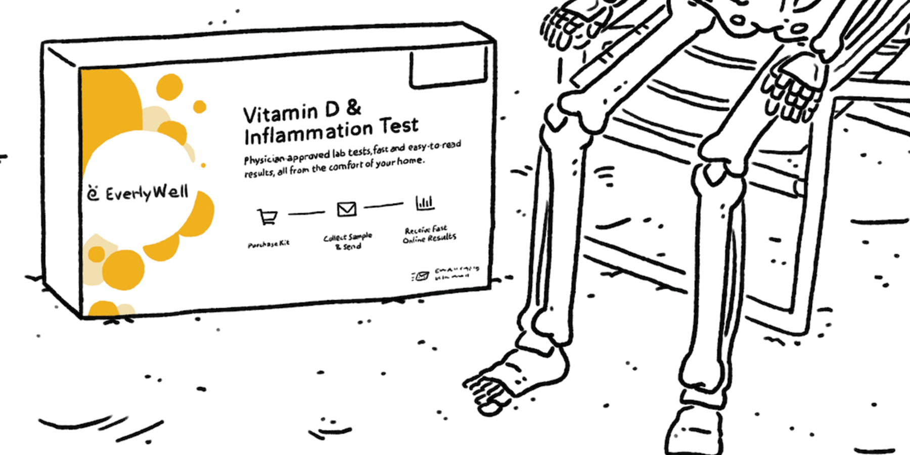 Skeleton sitting next to Vitamin D & Inflammation Test