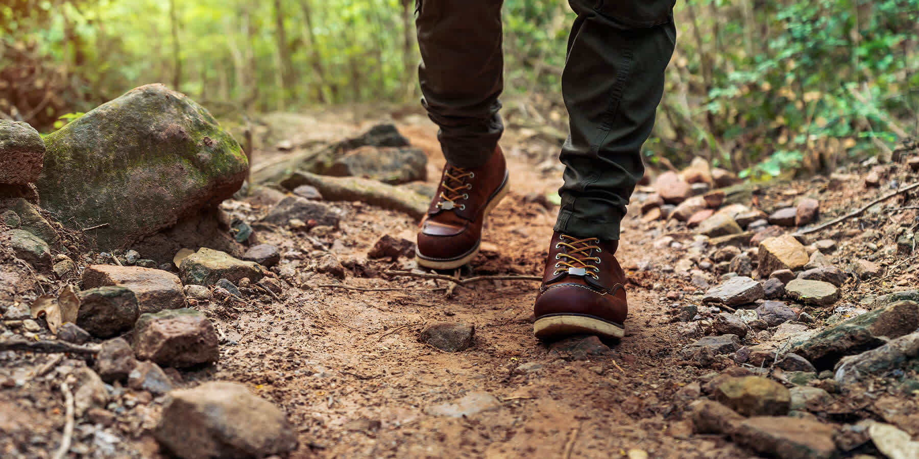 Person hiking in forest while wondering how much to walk for weight loss