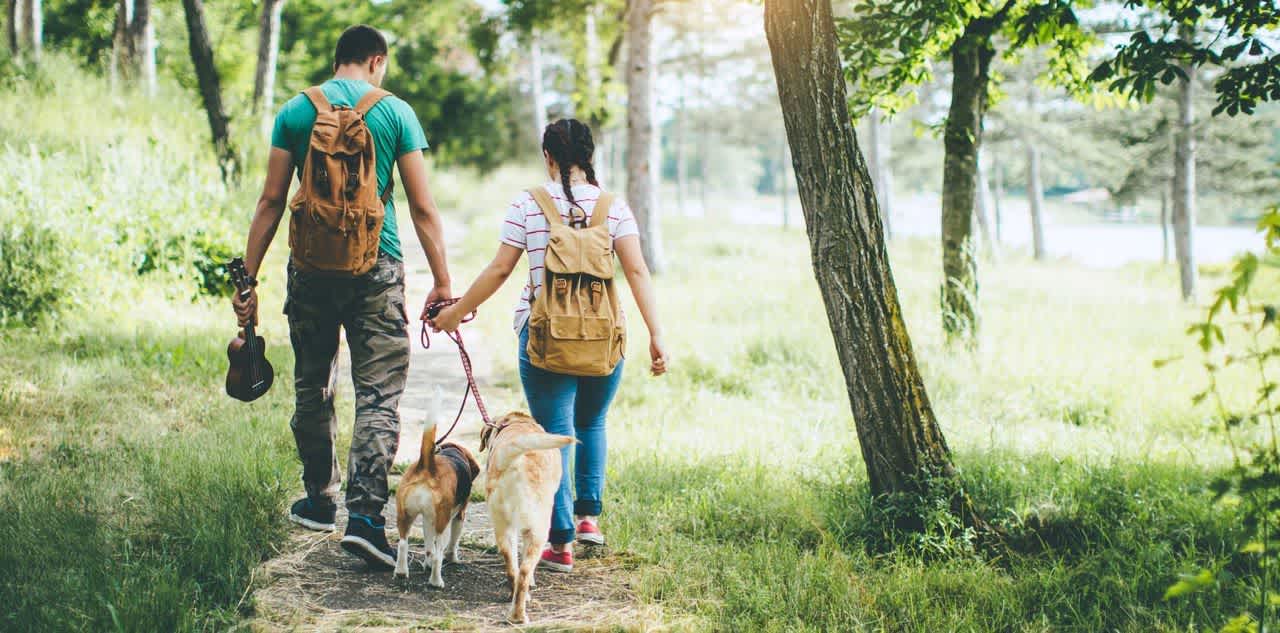 Couple with dogs hiking for physical activity after finding the right exercises to fit weight loss goals