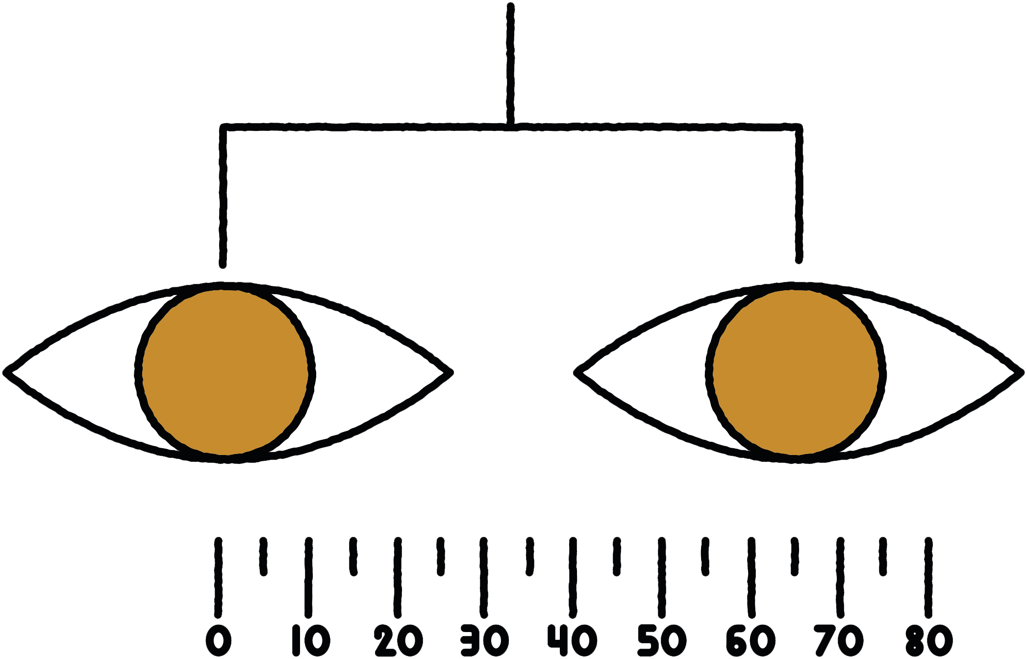 How to read your glasses prescription Ace & Tate