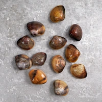 81745-wfmex-raw-almejas-chirlas-pescados 720x720-1