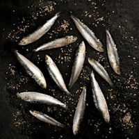 80516-sardinas-espanolas