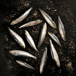 80516-sardinas-espanolas