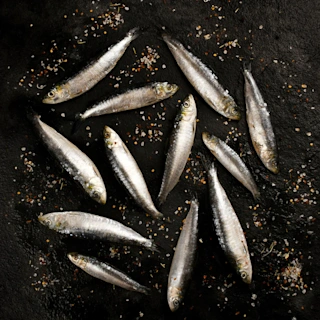 80516-sardinas-espanolas