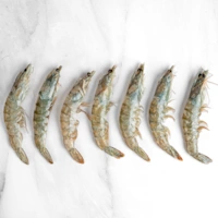 81746 WFMex Raw CAMARÓN ENTERO CRUDO CON CABEZA 30y40 Mariscos