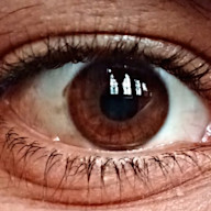 https://images.ctfassets.net/uuaxywrybmpn/5pPERqy14wtRHzP8smUW8/04b57b33d1fc76ed7db1d13800d5c401/Human_Eye_2.jpg