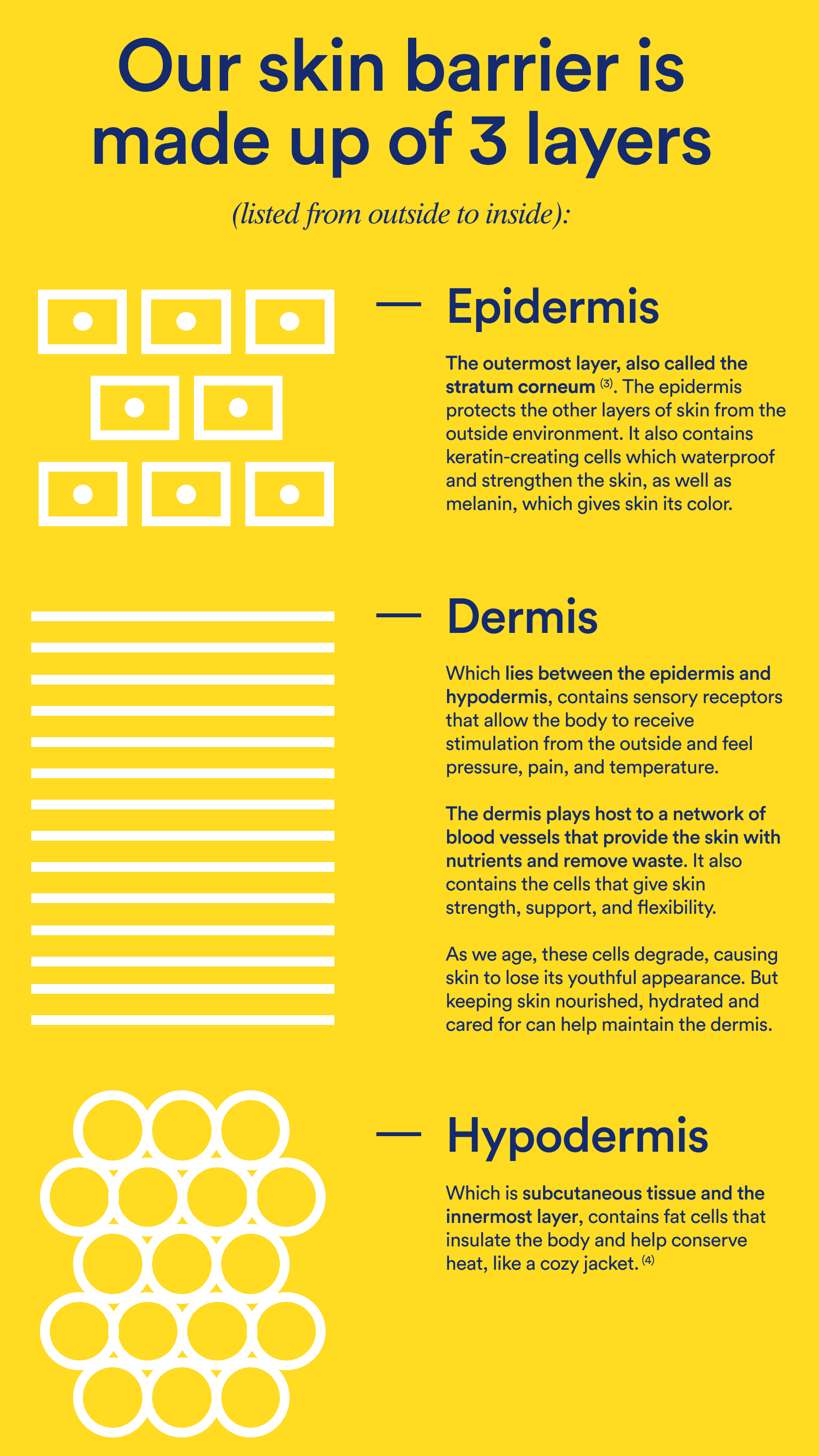 Skin Barrier Layers