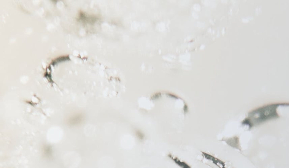 What Are Probiotics?: A Beginner's Guide to Gut Health*