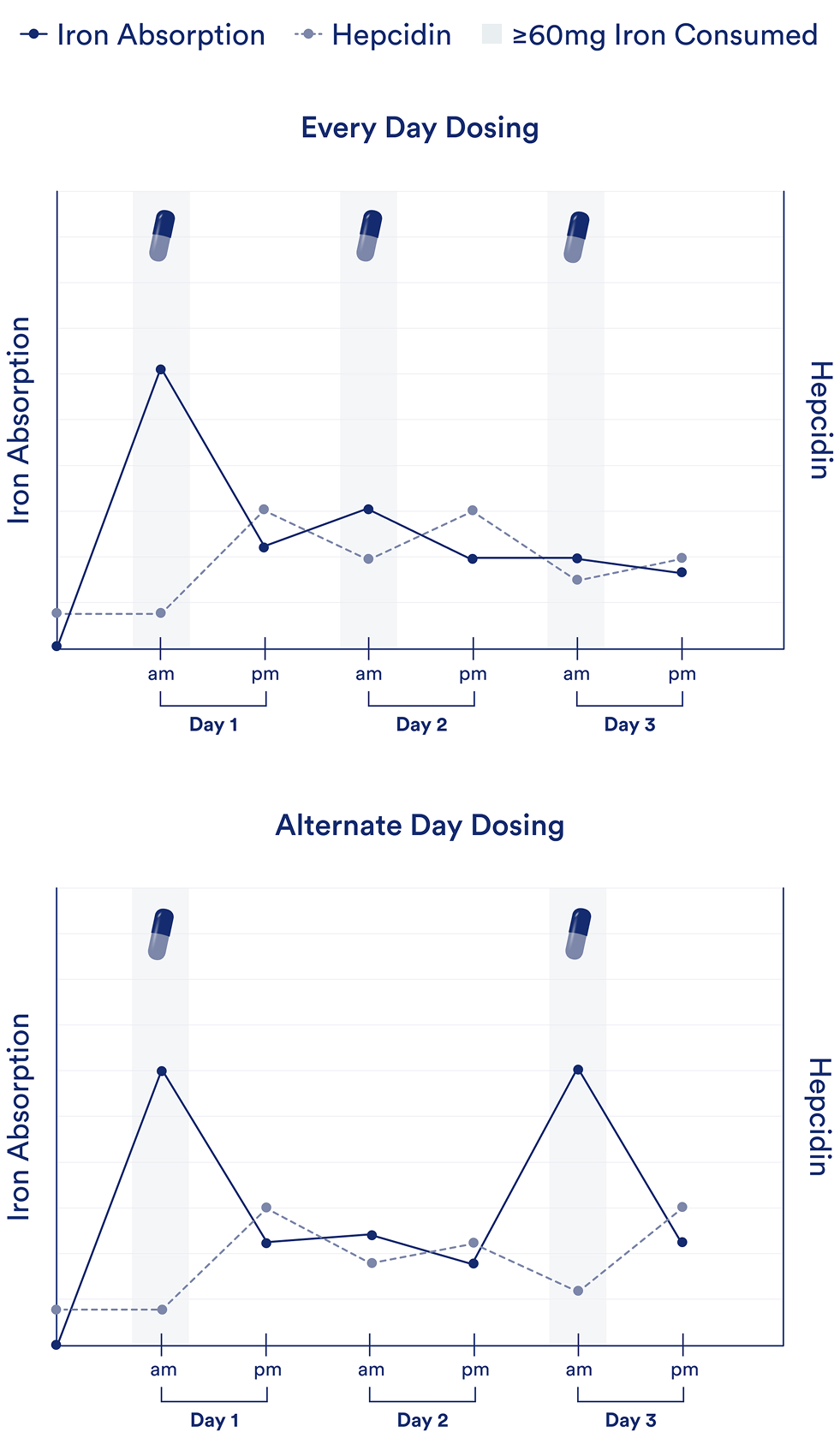 The image is a line graph showing the levels of maternal serum cortisol (in ng/mL) at weeks 0, 12, and 24 of pregnancy for two groups: Ritual Prenatal and Leading Prenatal.  The graph indicates that cortisol levels increase over time in both groups, with the Leading Prenatal group consistently showing higher levels than the Ritual Prenatal group.  A p-value of <0.005 suggests a statistically significant difference between the two groups.