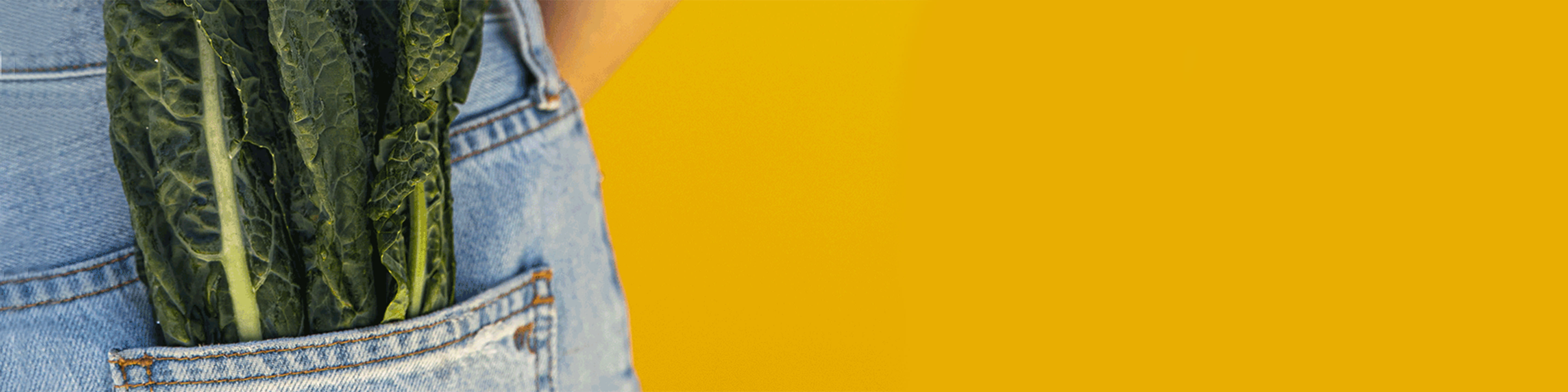 Do Post-Menopausal Women Need Iron? Here's How Iron Needs Change