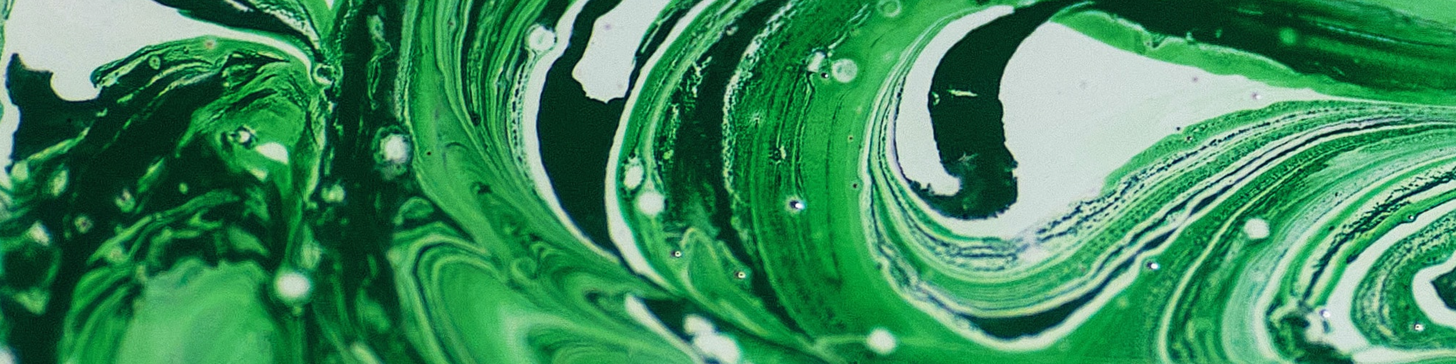 What Is Greenwashing?