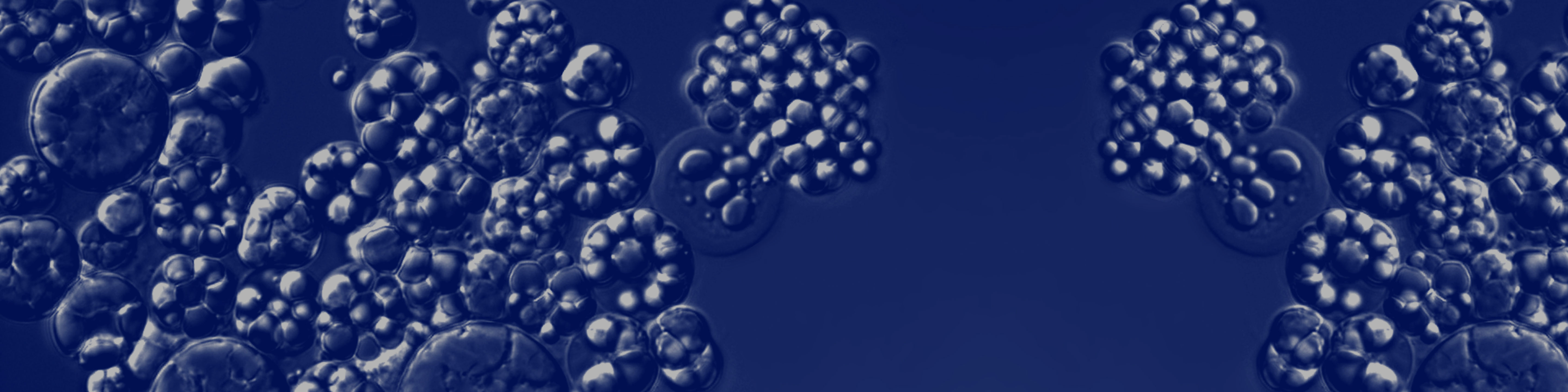 5 Steps We're Taking Towards More Sustainable Packaging