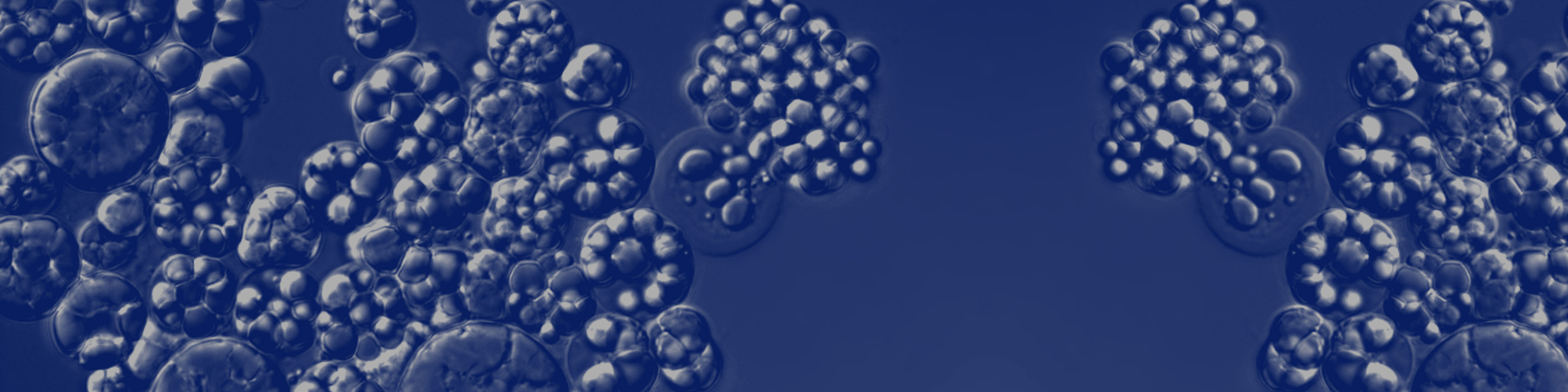 Get to Know Ritual's Sustainable Packaging