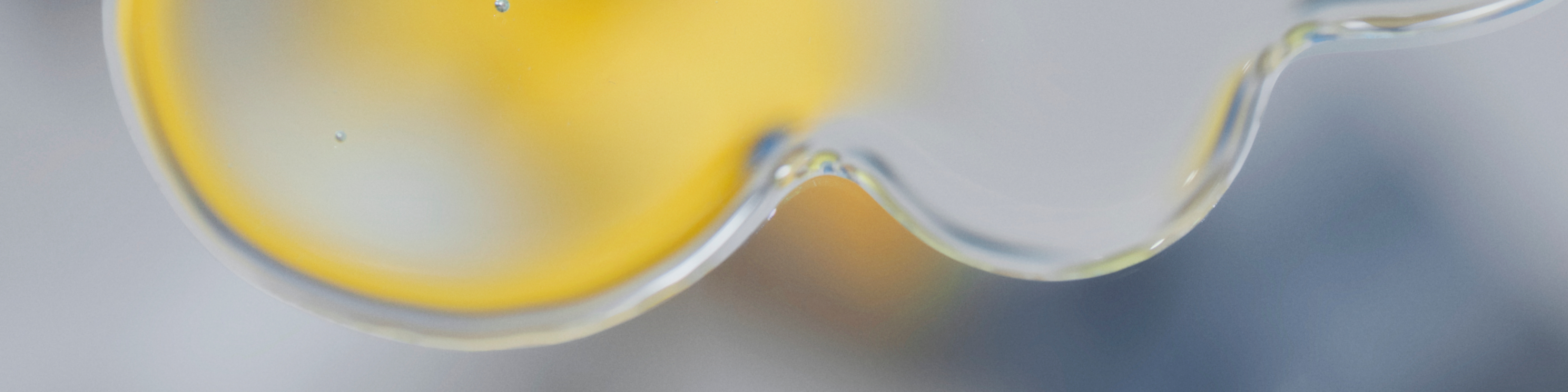 Meet CFUs (Colony Forming Units), Our Gut Health’s Best Allies*