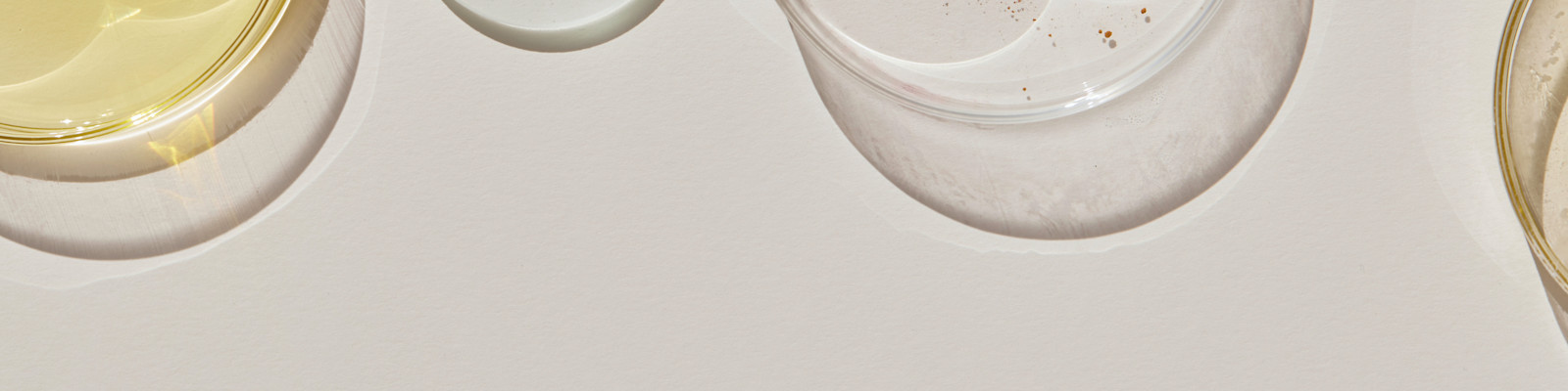 Behind Ritual's Goal to Have Our Ingredients 100% Made Traceable®