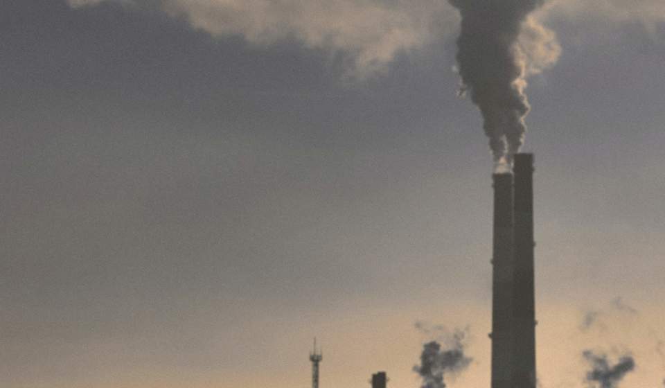 What Are Heavy Metals? The Impact to Our Bodies & Environment