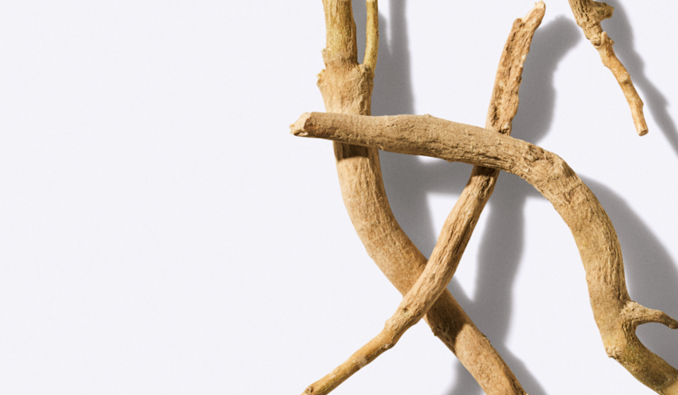 Master the Daily Juggle of Stress with Ashwagandha*