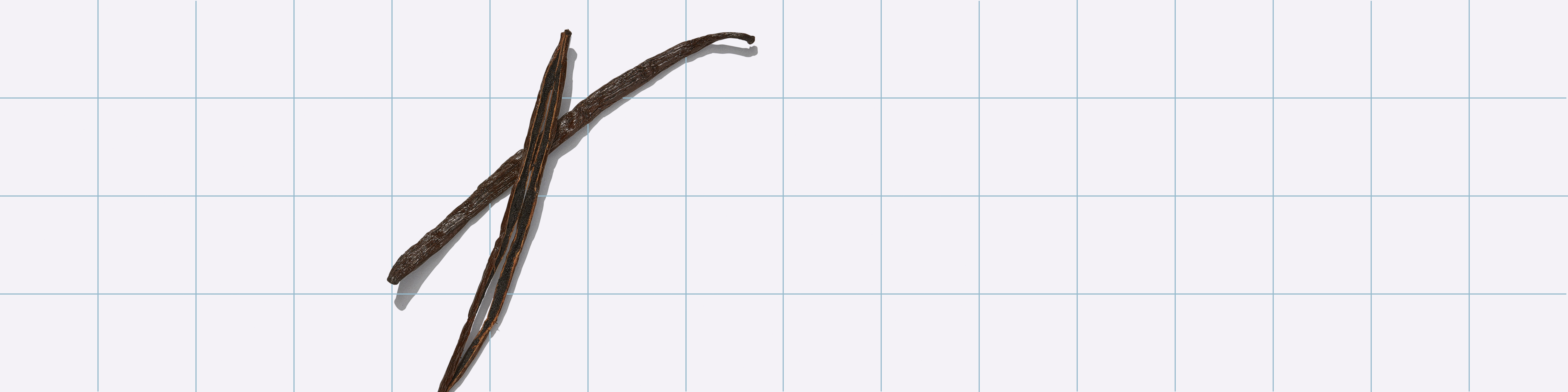 Meet Our Vanilla Flavor—And The People Behind It