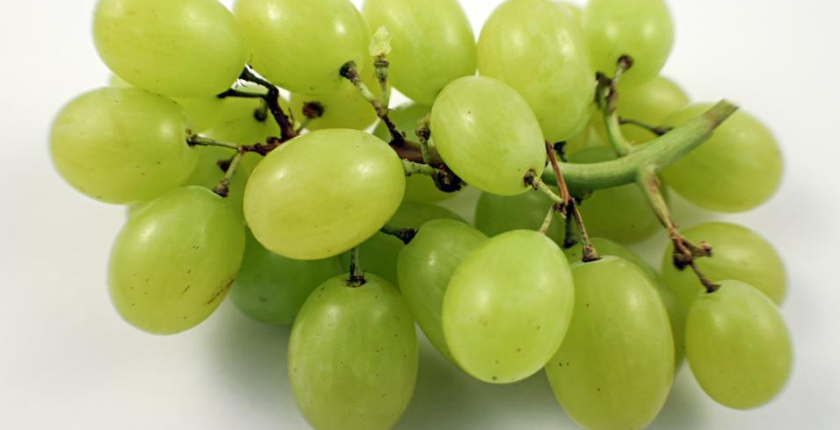 We turned to Dr. Michelle Davenport, PhD, RD—a mom, registered dietitian, and member of Ritual’s Scientific Advisory Board—for some easy, tasty ways to boost fiber intake in a child’s diet. 