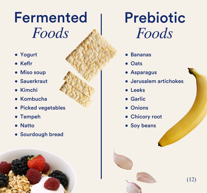 List of fermented and prebiotic foods
