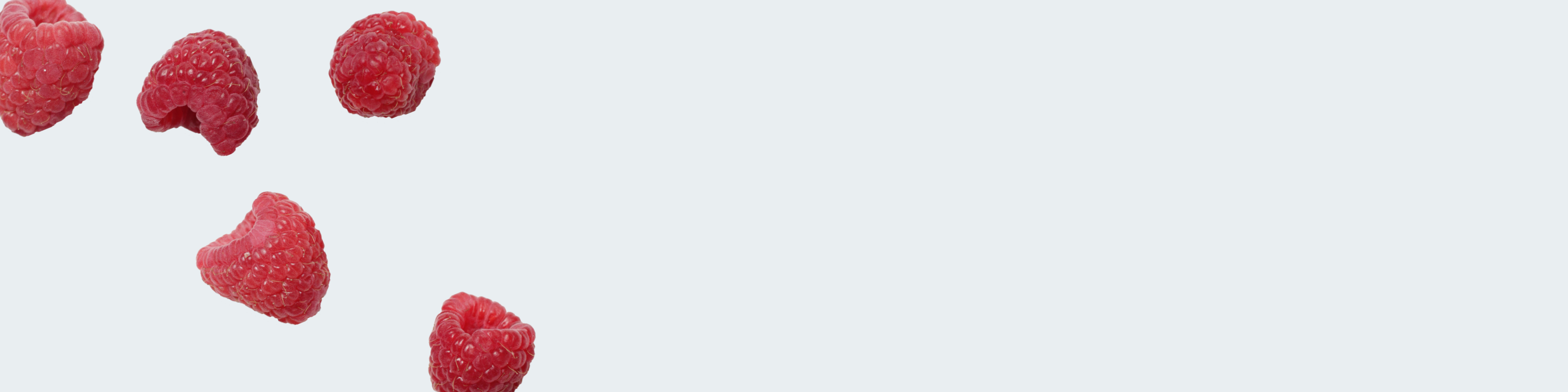 What Does Fiber Do? A Fiber 101