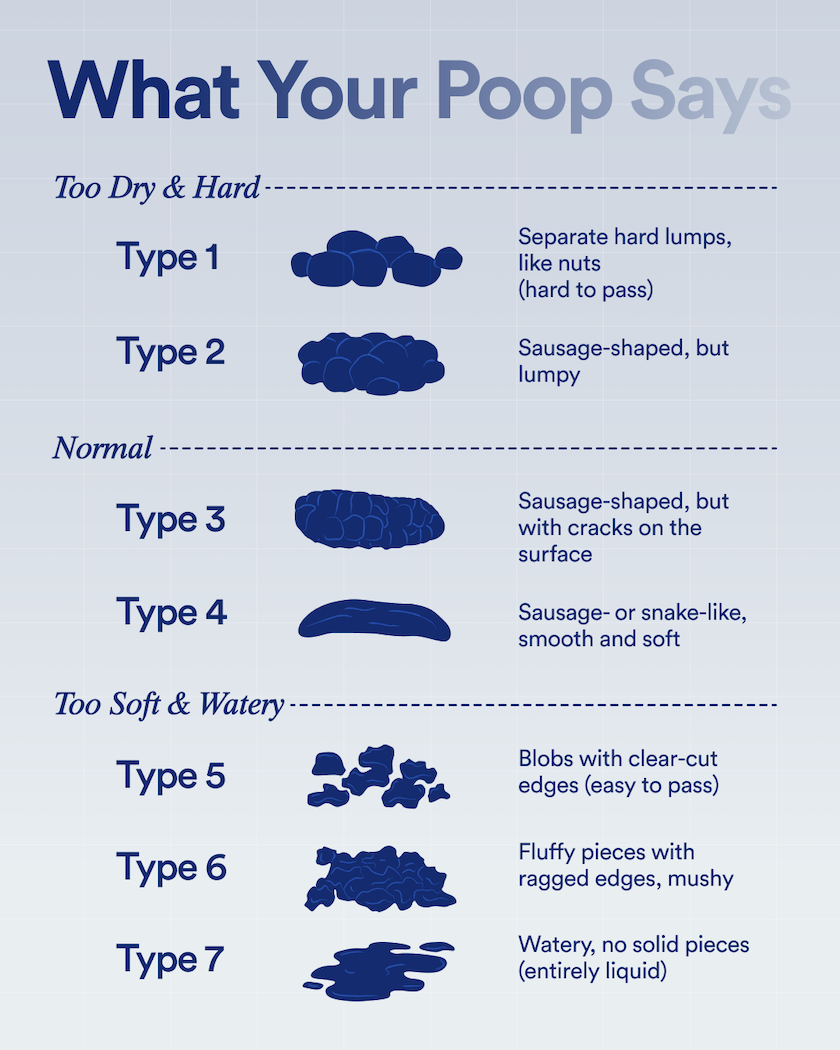 Bristol Stool Chart: Is Your Poop Healthy?