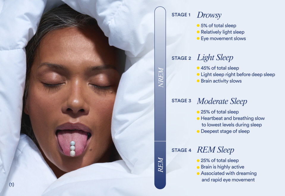 Stages of each sleep cycle.