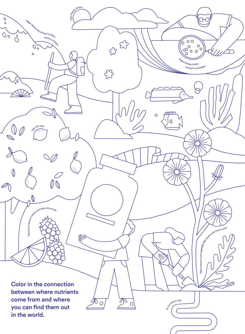 Invite your kids to trace where their nutrients come from with this fun coloring activity.