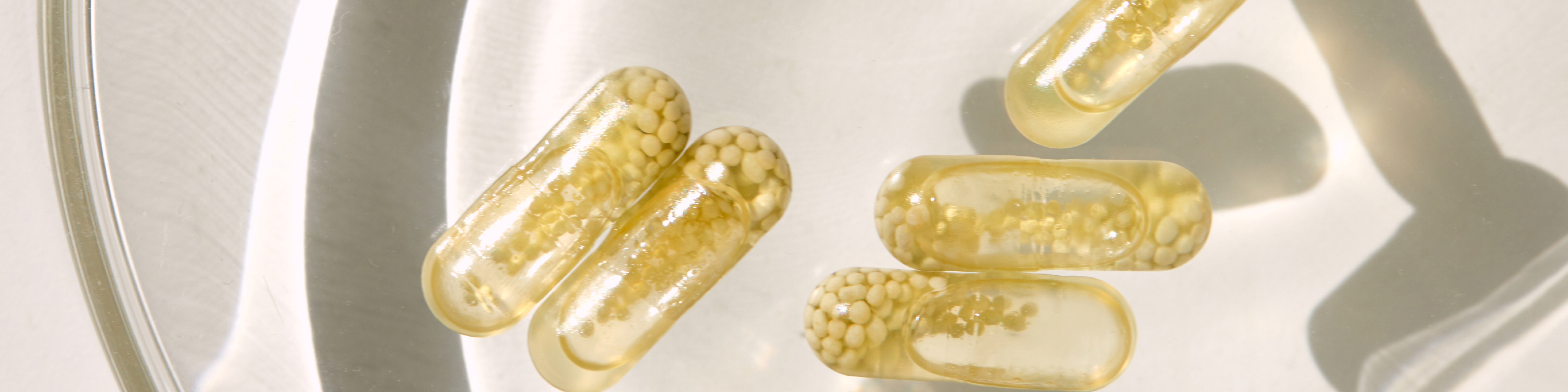 What Is Bioavailability? Here’s Why It’s So Important