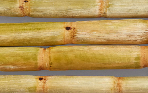 PDP-EP-Traceable-Fermented-Sugarcane-3