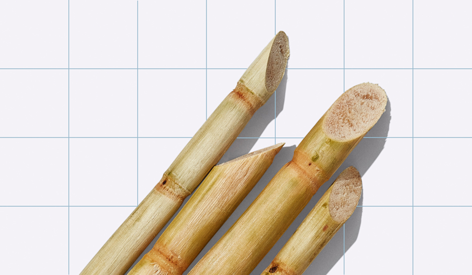 Meet Amyris, Our Fermented Sugarcane (Reb-M) Manufacturer