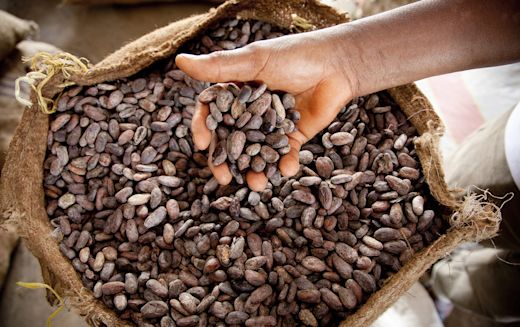 pdp-ingredient-traceable-cocoa-02
