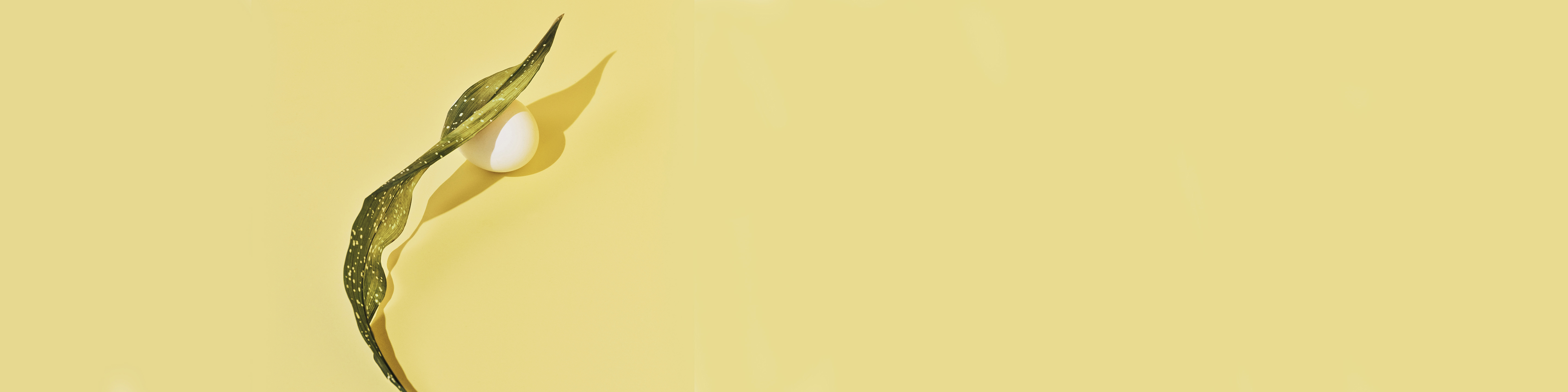 12 Nutrients to Look for in a Prenatal Vitamin