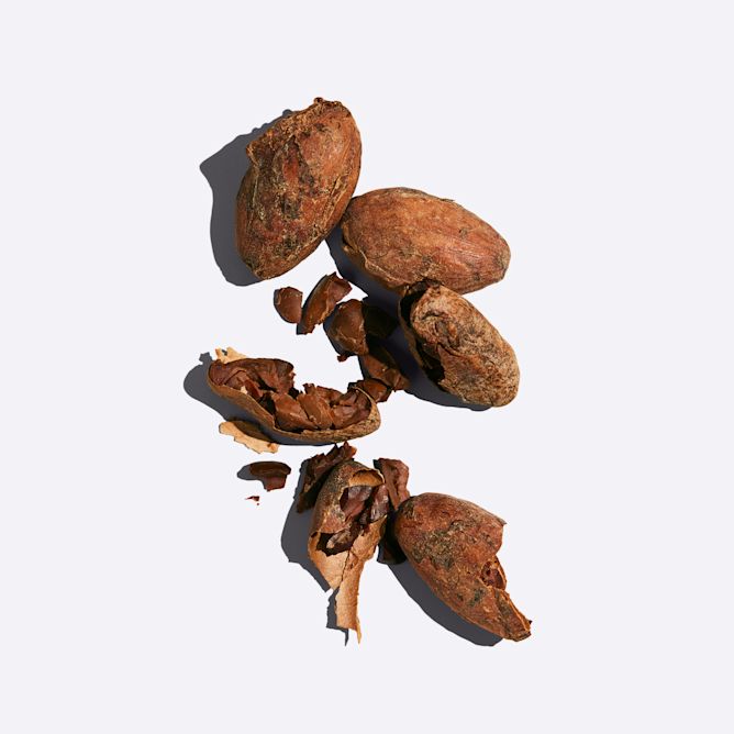 pdp-ingredient-cocoa