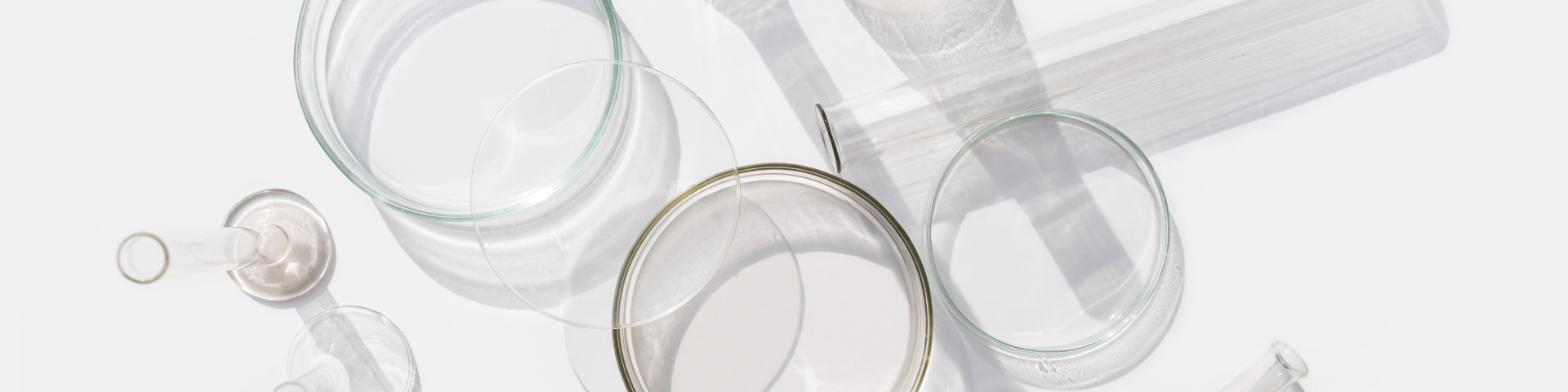 Petri dishes and test tubes placed on a table as a part of a clinical trial.