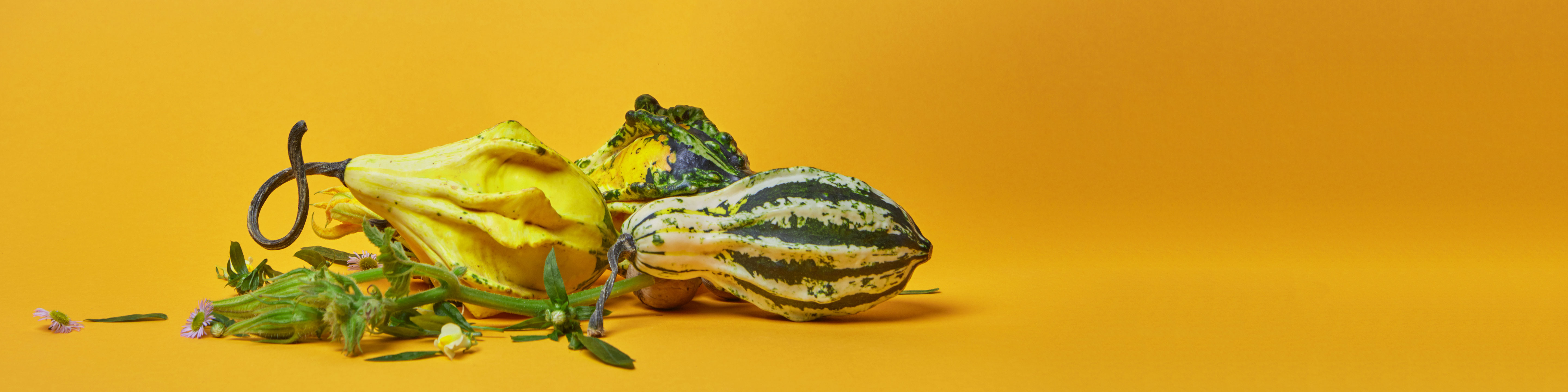 A Dietitian's Guide to a Healthy Thanksgiving