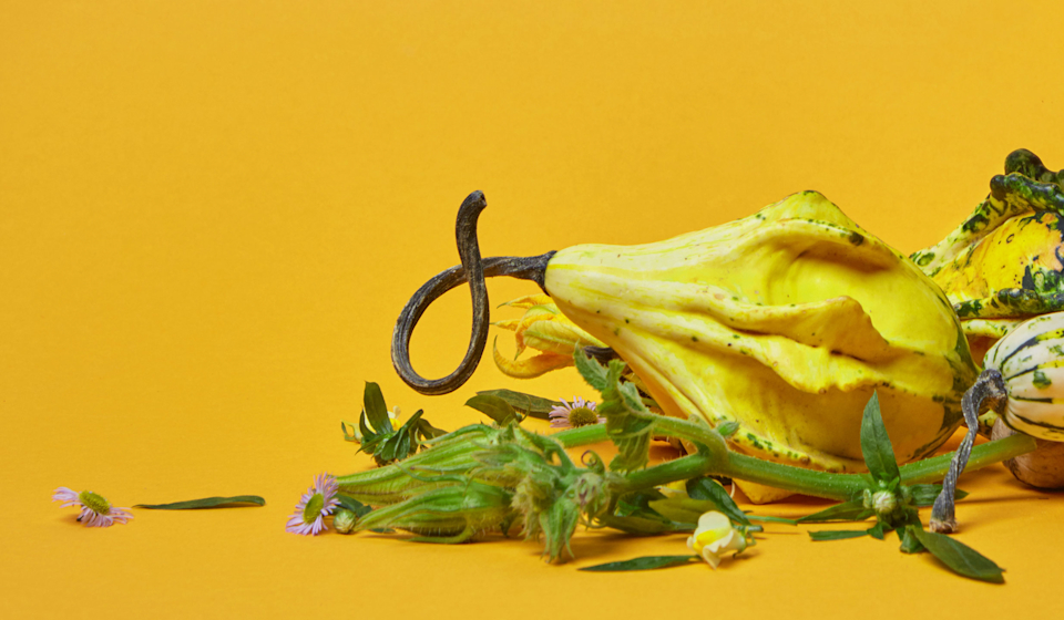 A Dietitian's Guide to a Healthy Thanksgiving