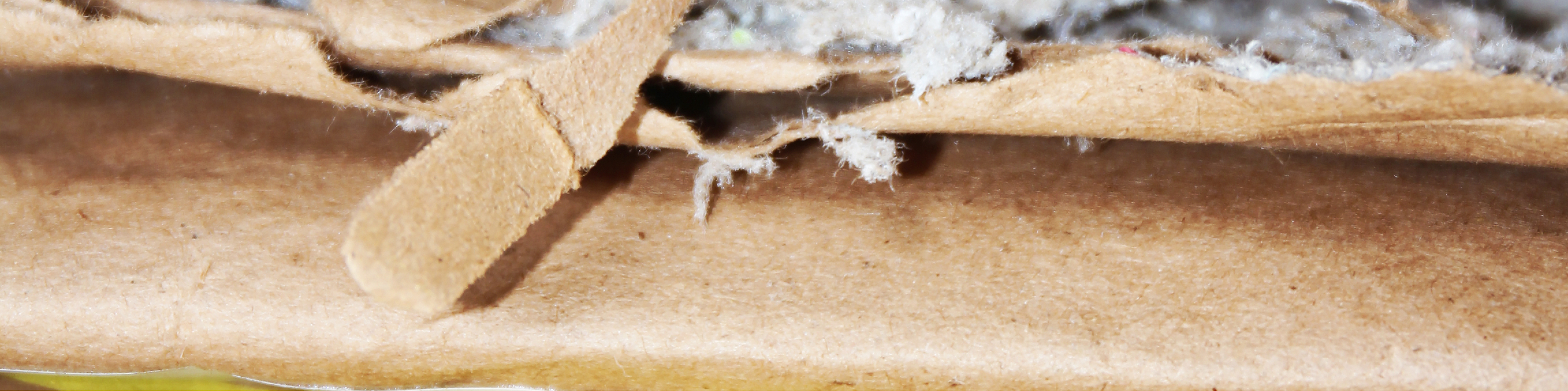 Behind Ritual's Goal to Have Sustainable Packaging by 2025